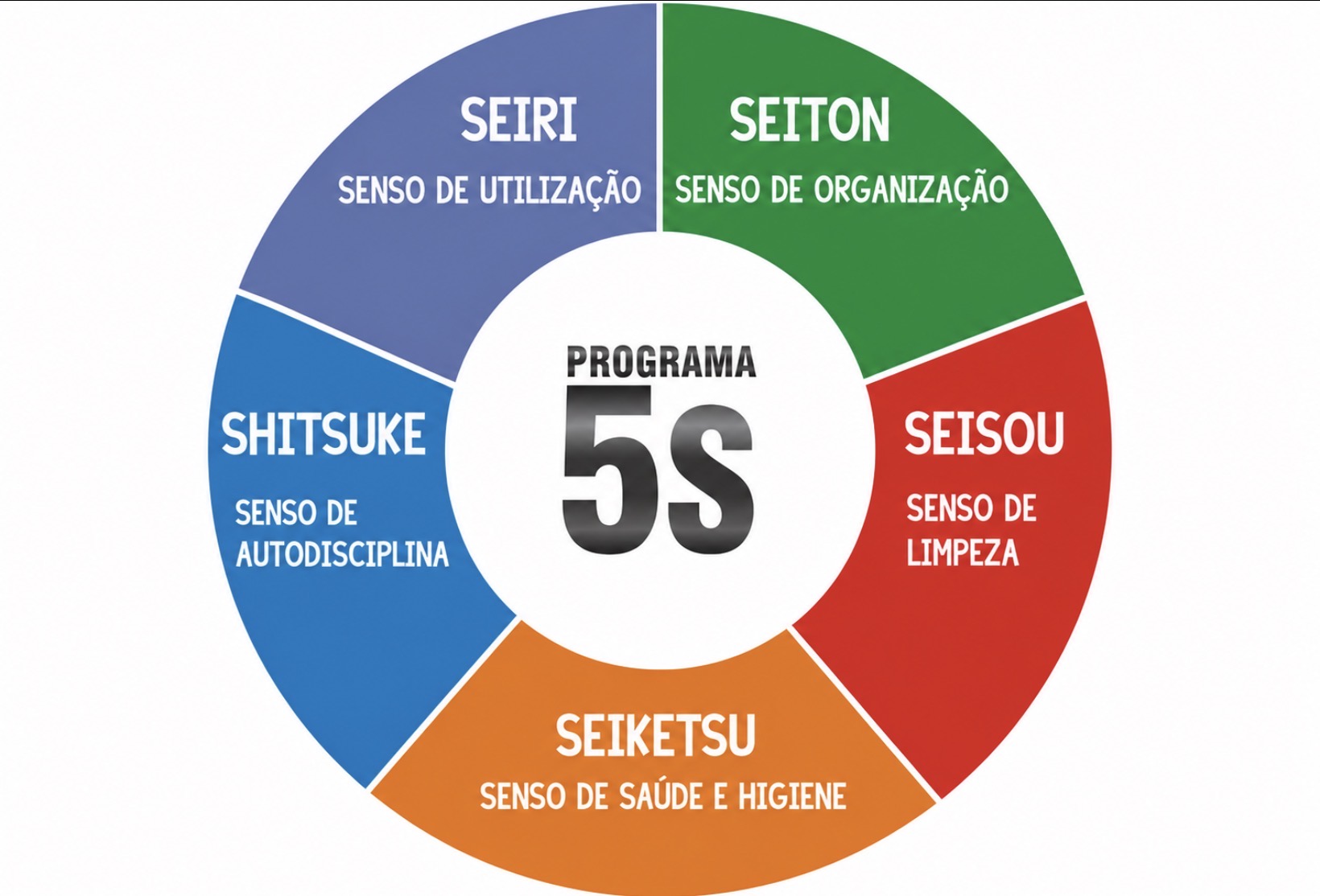 Diagrama do programa 5S